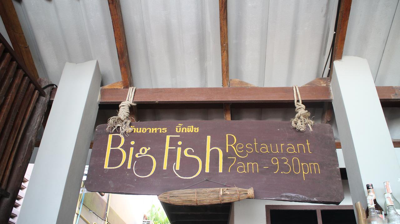 Big Fish Koh Tao