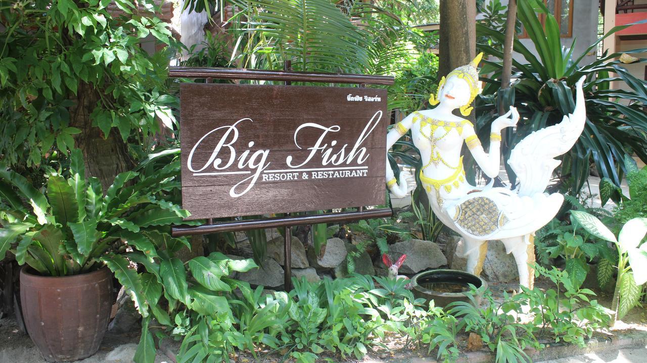 Big Fish Koh Tao