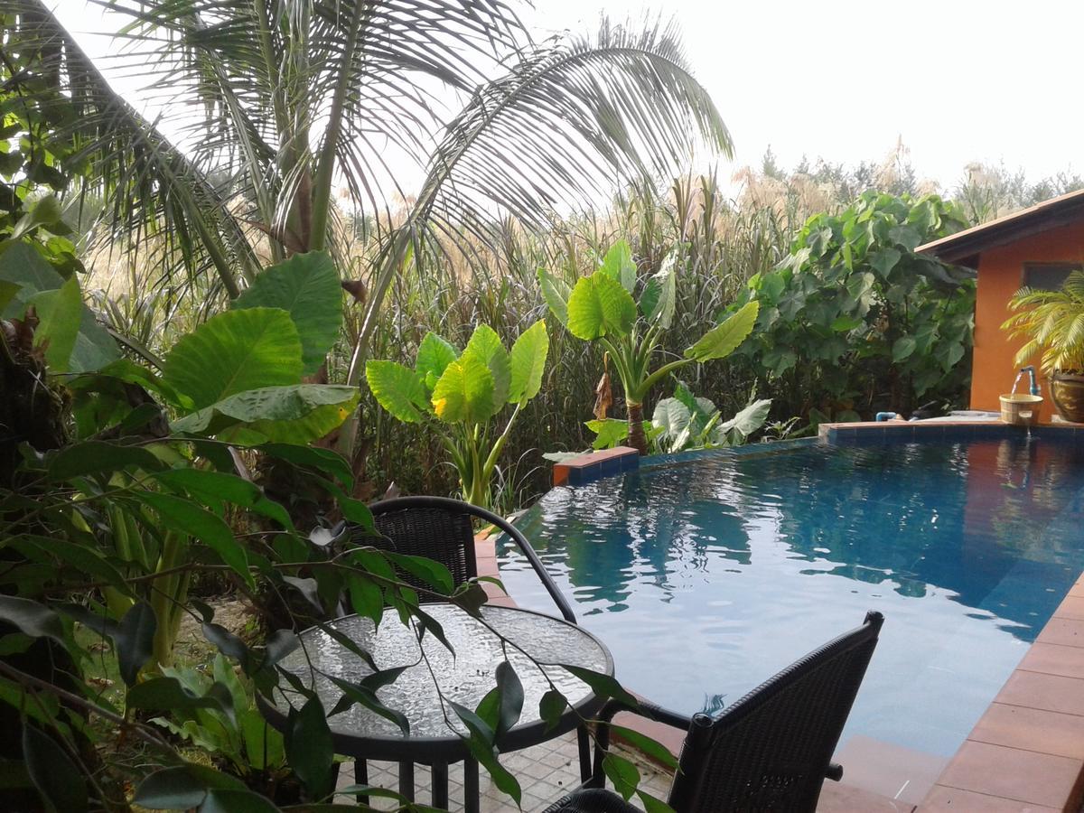 Guest house Relax Eco Life Center - 2*