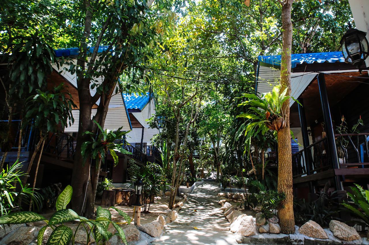 Black Wood Hostel Koh Tao