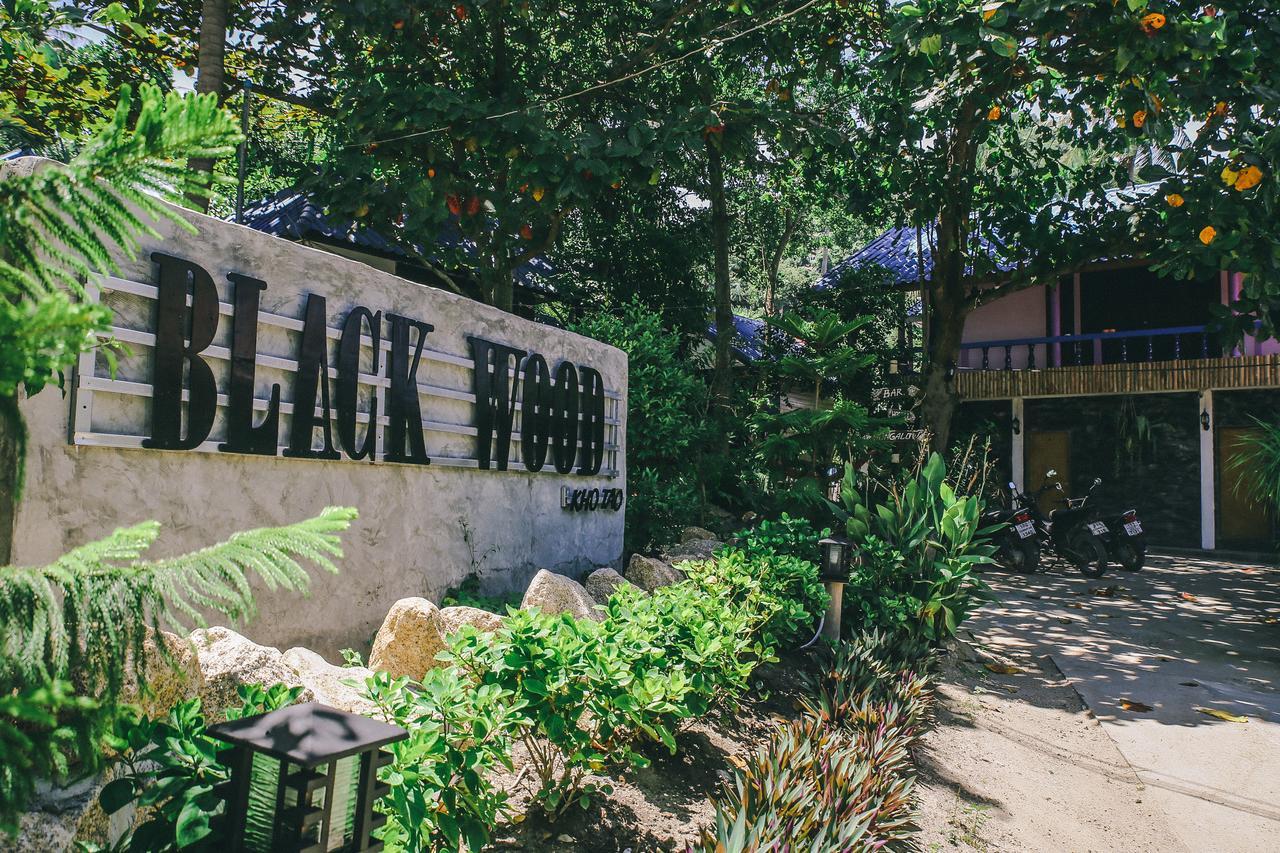 Hostel Black Wood *
