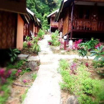 Jungle Hill