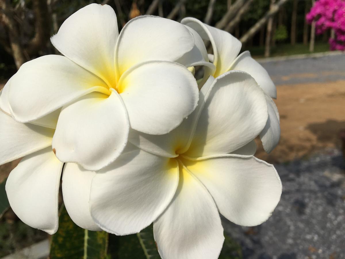 The Herbal 3* Khao Lak