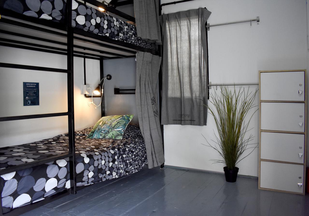 Dpm Diving & Bar Inn 3*