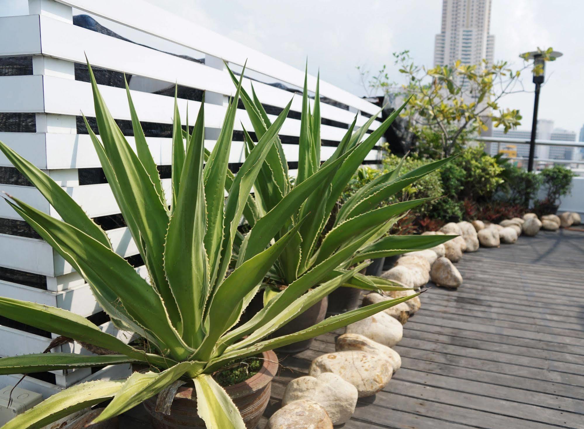 Icheck Mayfair Pratunam 3* Bangkok