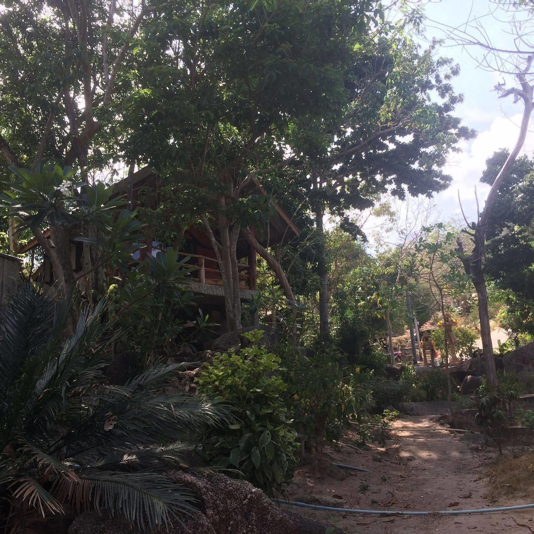Poseidon Koh Tao