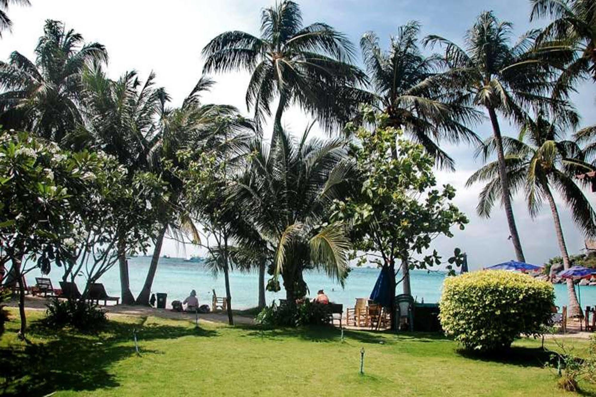 Palm Leaf 3*