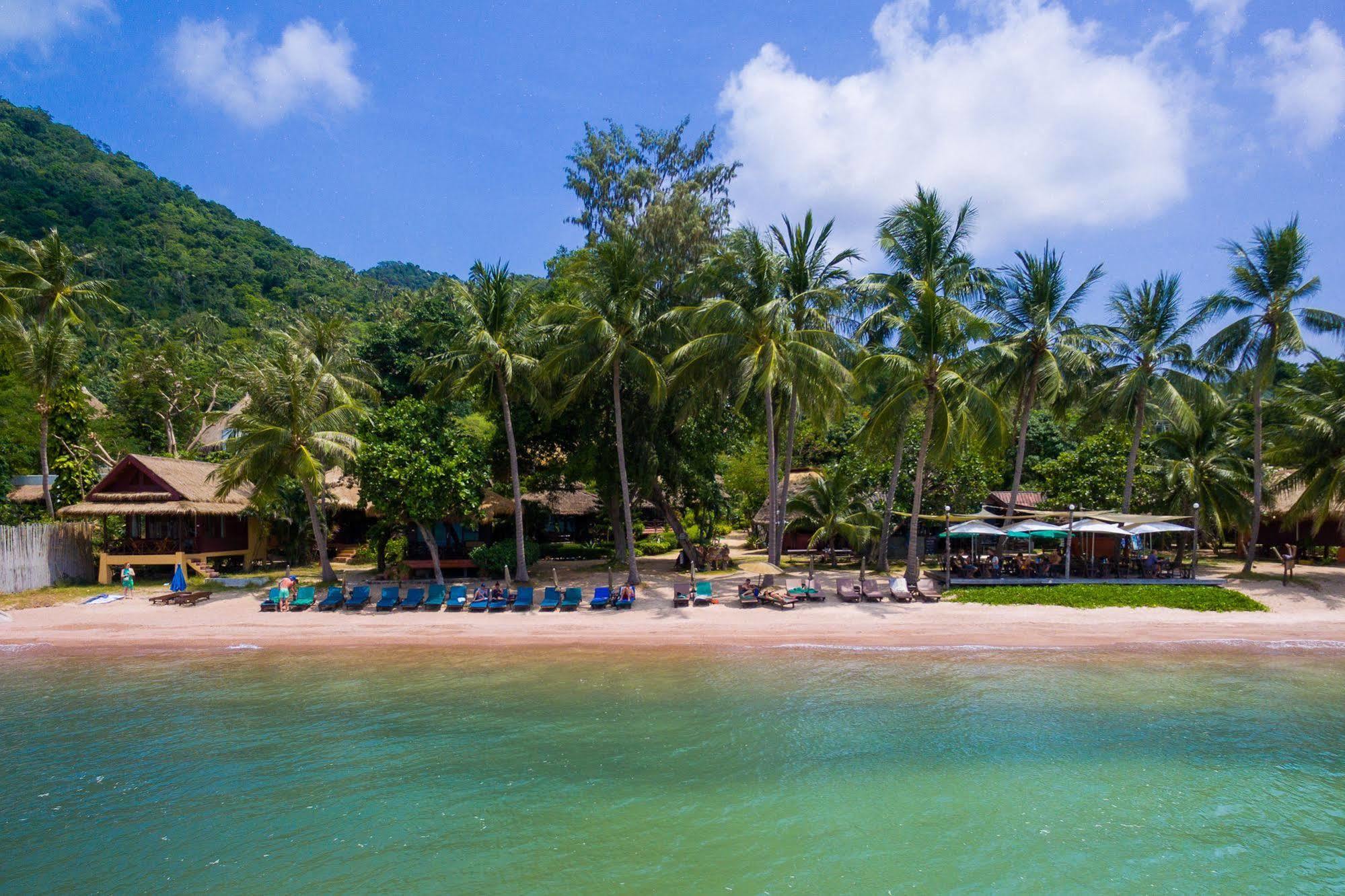 Resort Palm Leaf