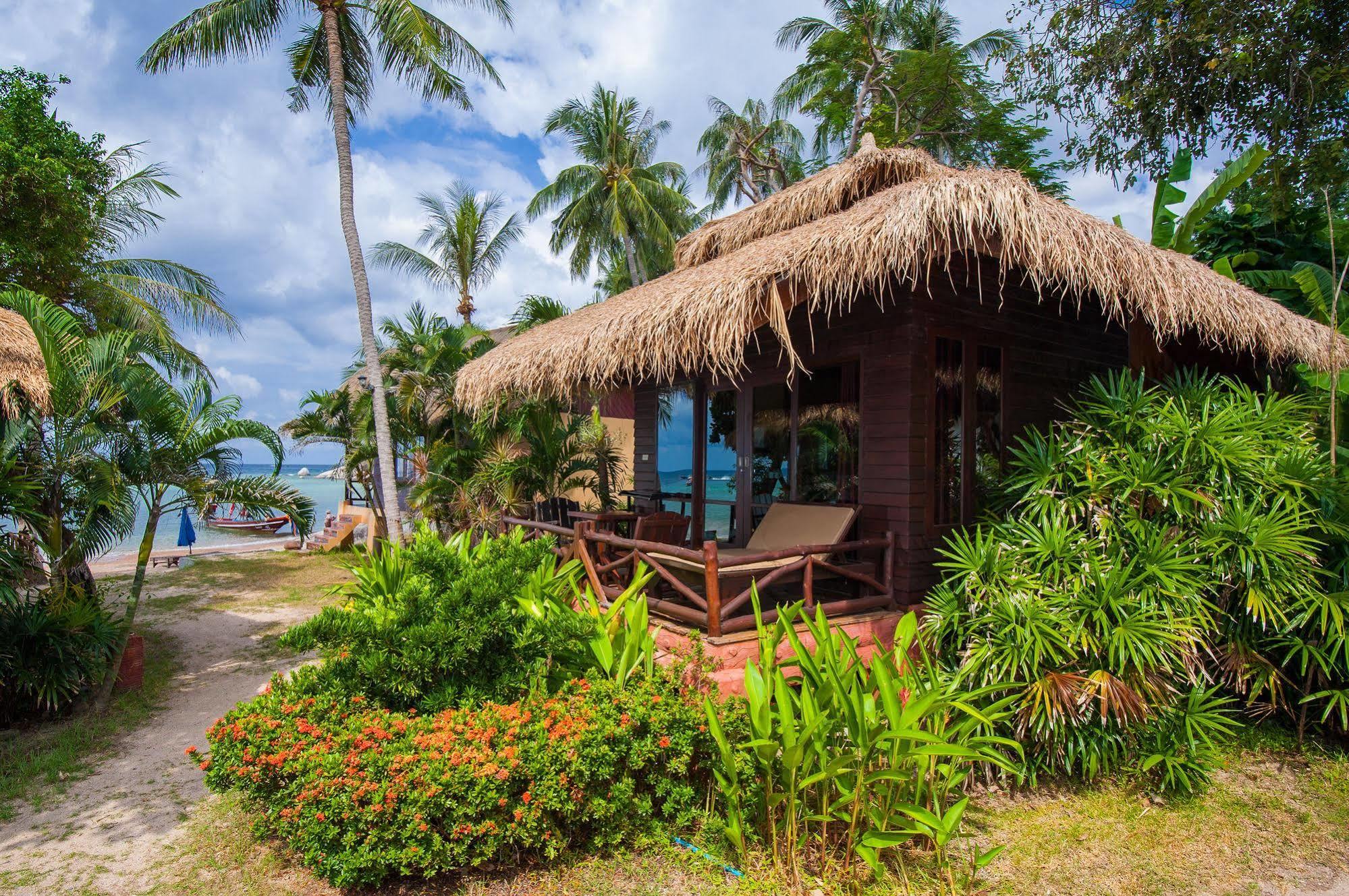 Resort Palm Leaf