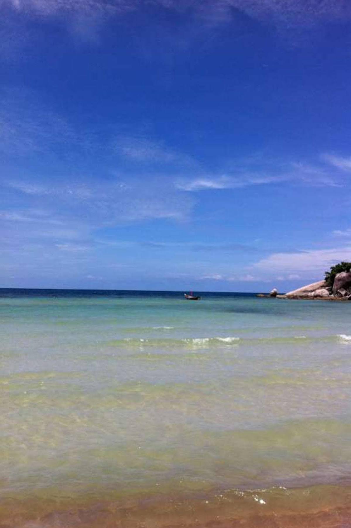 Palm Leaf Koh Tao