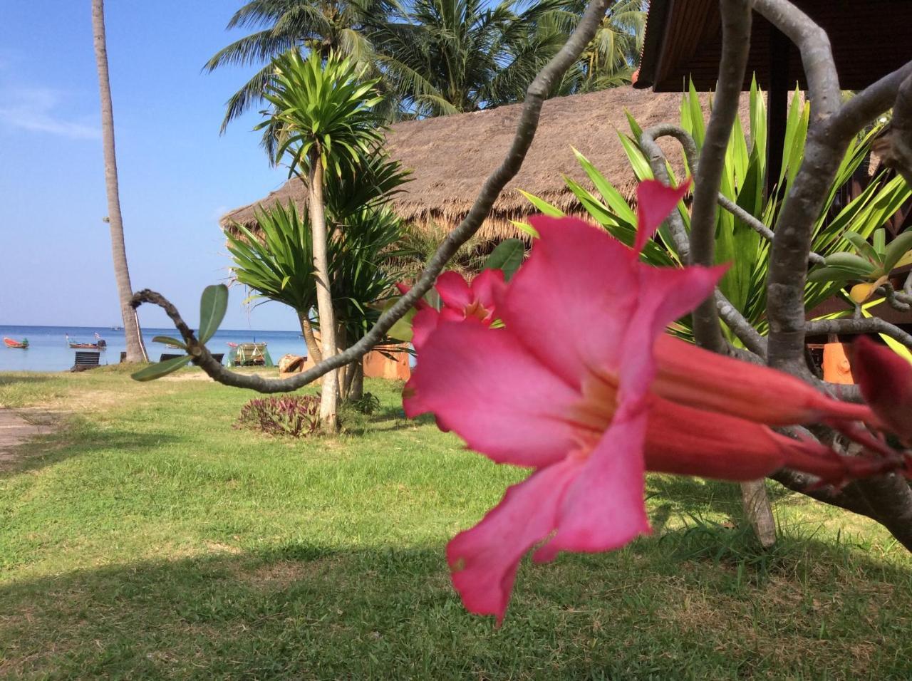 Bow Thong Resort Koh Tao