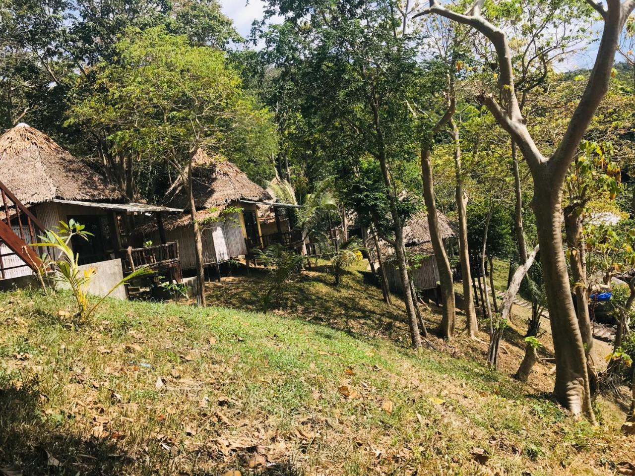 Sunwaree Phi Phi Don