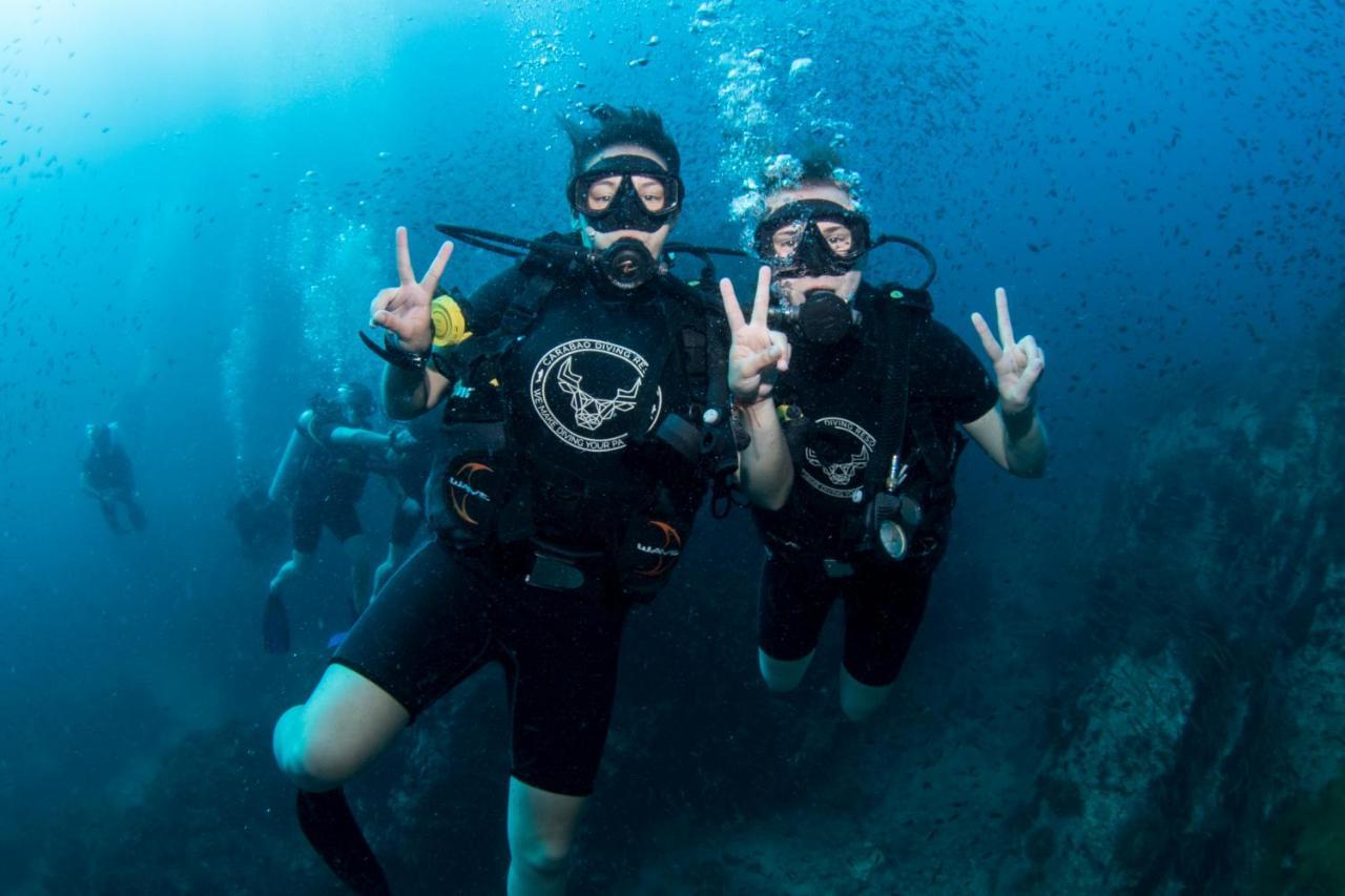 Carabao Diving Koh Tao