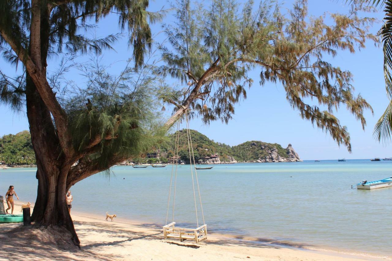 Assava Dive - Sha Resort Koh Tao