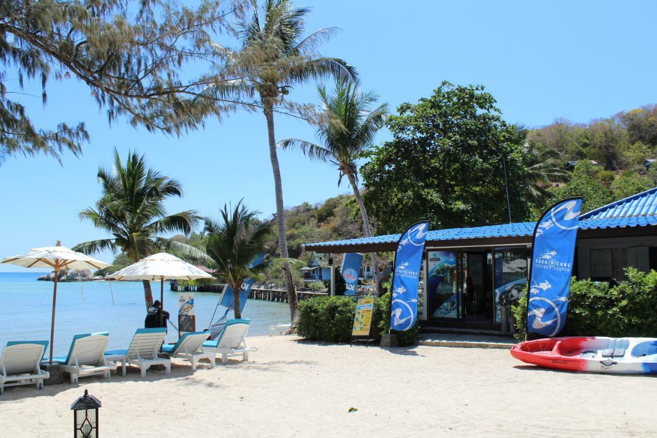Assava Dive - Sha 3*