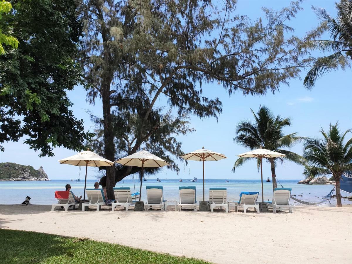 Resort Assava Dive - Sha 3*