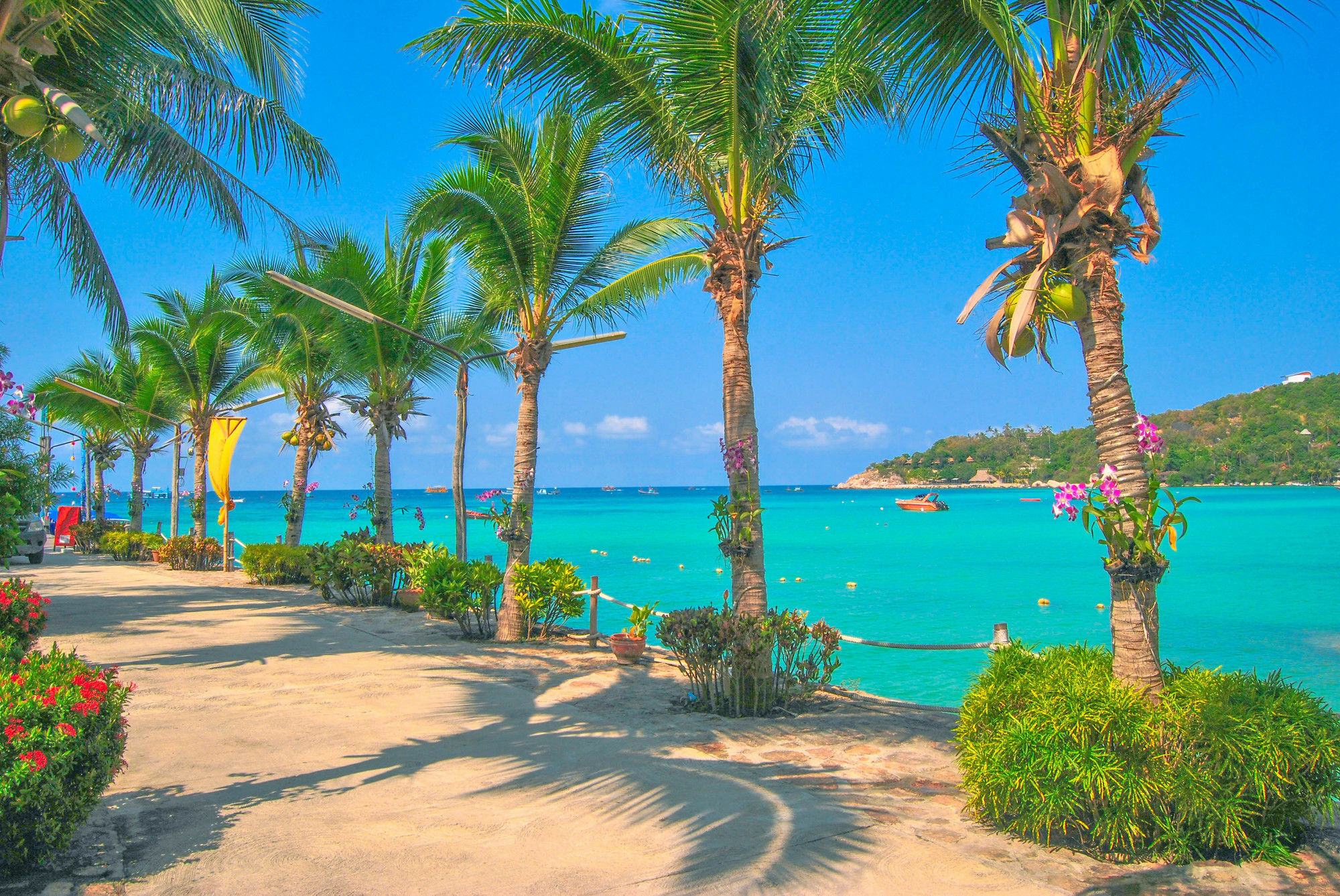 - Zone Resort 3*
