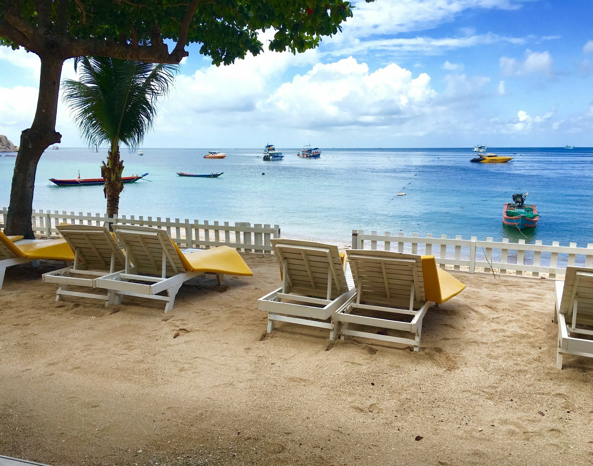 Coral View