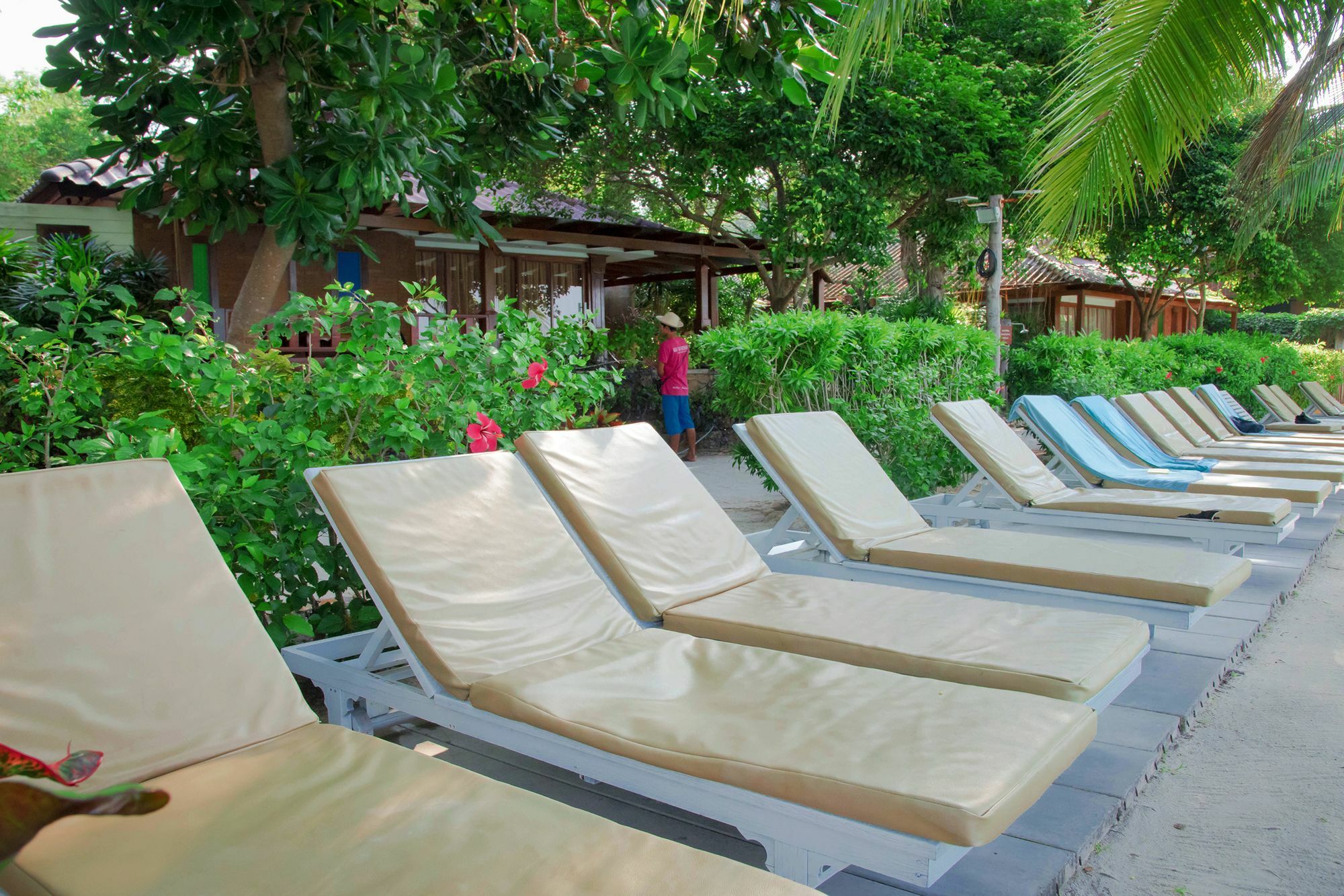 - Zone Resort Koh Tao