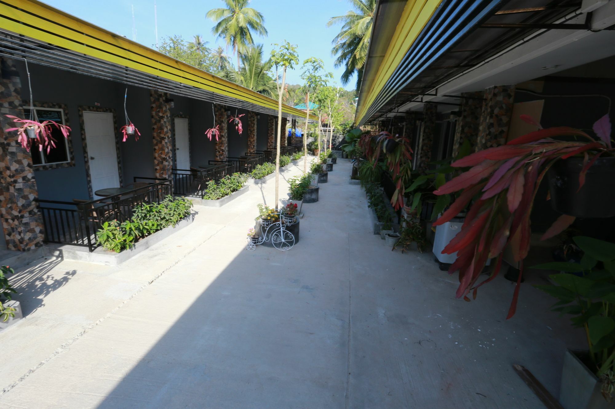 Greenery 3*