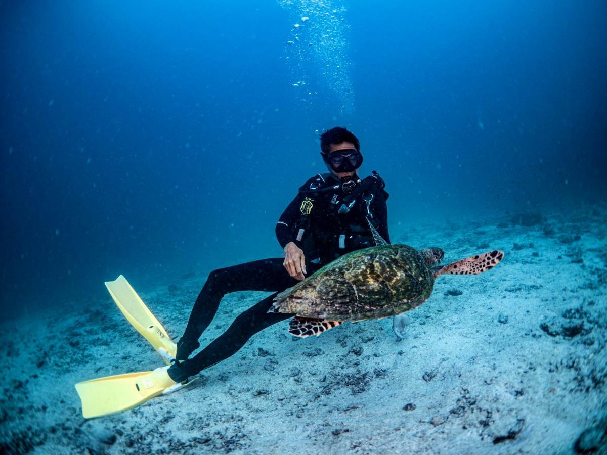 Ban's Diving Resort