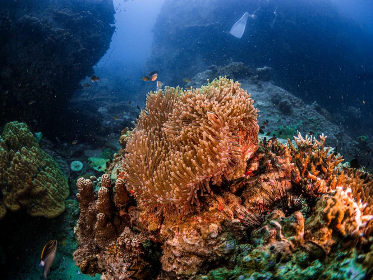 Resort Ban's Diving