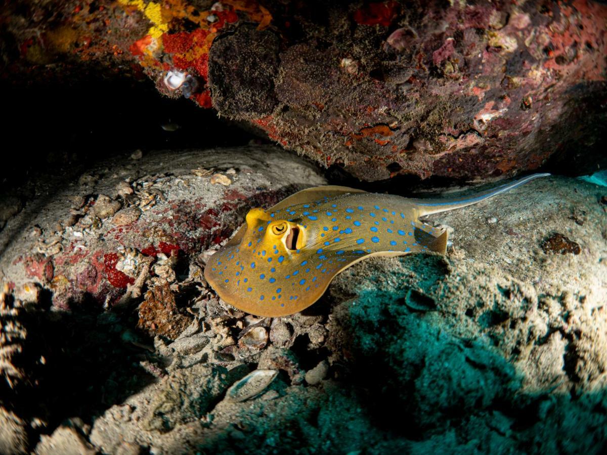 Resort Ban's Diving 4*