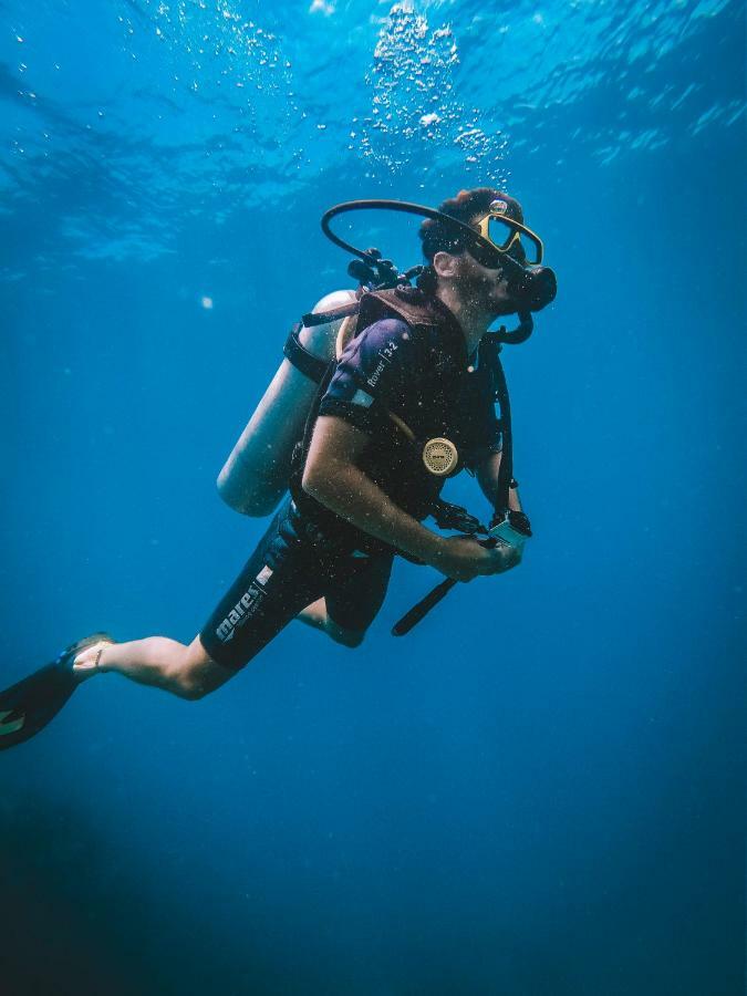 Dpm Diving & Bar 3*