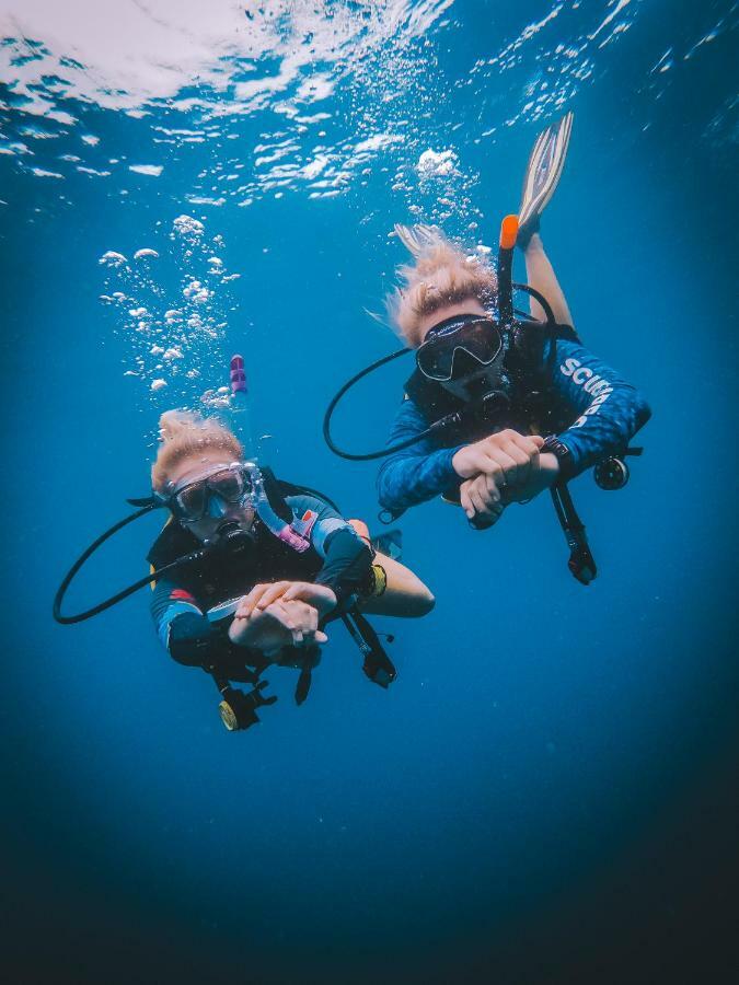 Dpm Diving & Bar