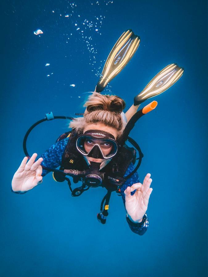 Dpm Diving & Bar 3* Koh Tao