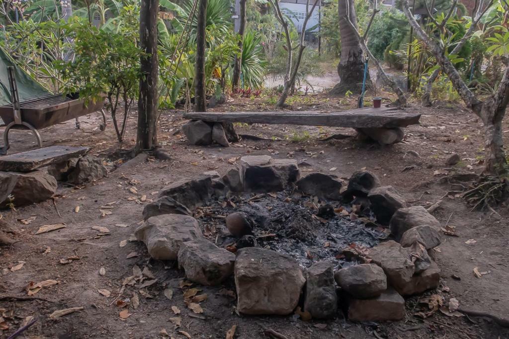 Black Wood Hostel *