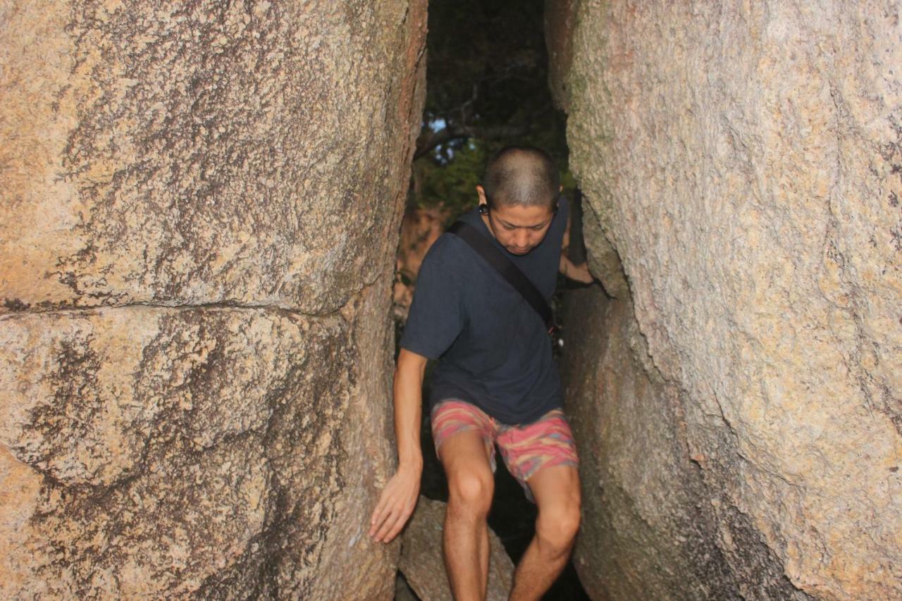 Black Wood Koh Tao