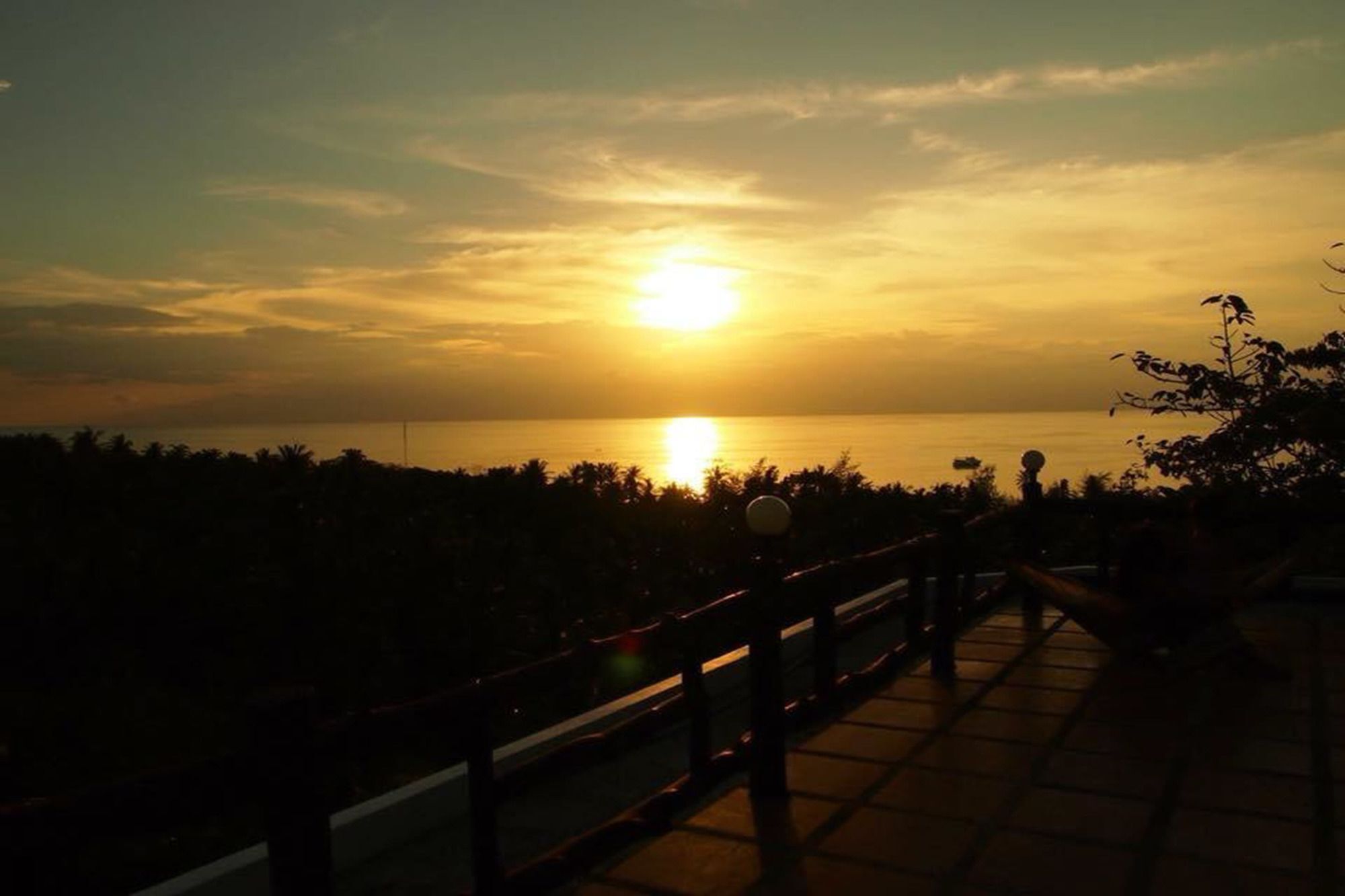 Miya * Koh Tao