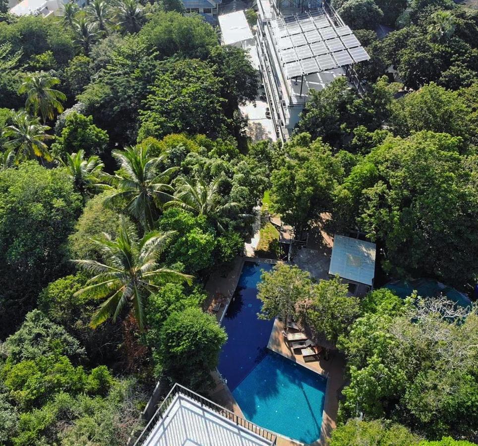 The Dearly Hostel-padi 5 Star Dive Hostel Koh Tao