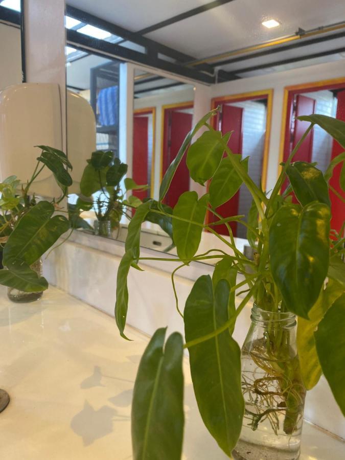 Indie - Hostel