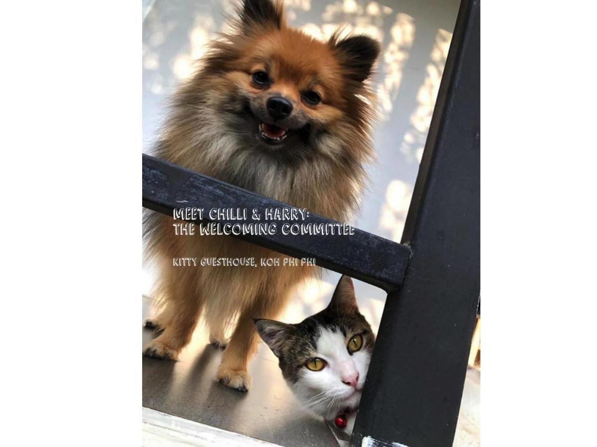 Hotel Kitty *