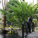 In My Dream Resort