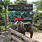 The Jungle House Khaoyai