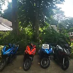 Jungle Garden
