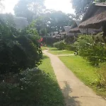 Jungle Garden