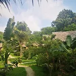 Jungle Garden