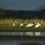 Wetlandcamp บ้านชายเล