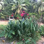 Phayam Garden View