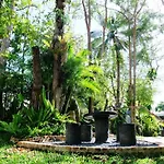 Whalecome Aonang Resort-Sha Extra Plus