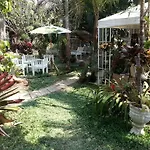 Pallada Bromeliads Garden And Resort