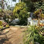 Pallada Bromeliads Garden And Resort