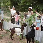 Xaiyong Resort - ไทรโยงรีสอร์ท