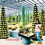 Baan Chang Residence