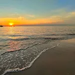 Sea Sand Trees