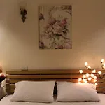 Jungle Resort